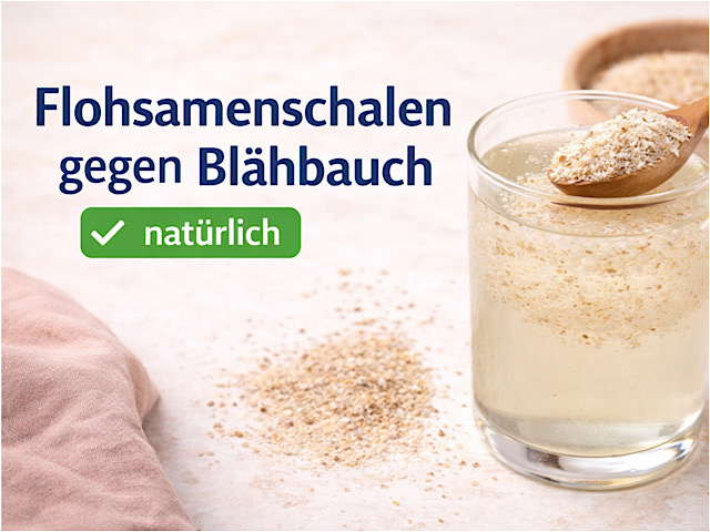 Flohsamenschalen gegen Blähbauch – mein Selbsttest